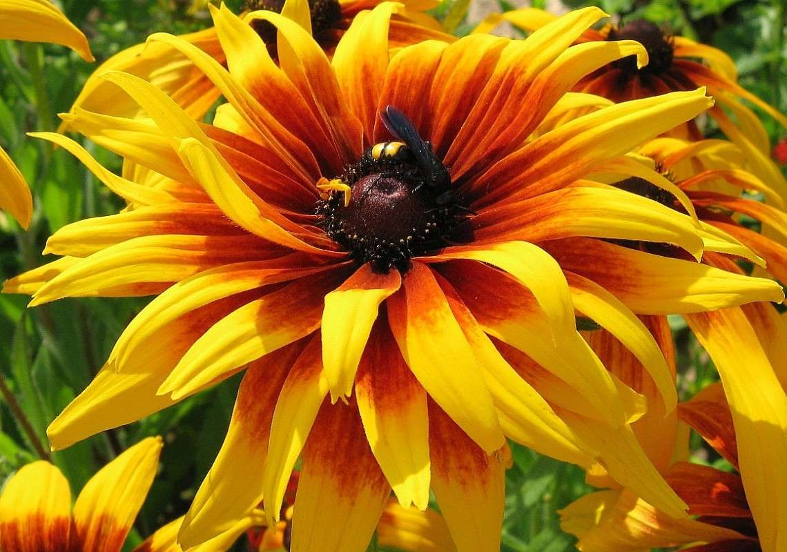 ������ ����� �� ����� ... ) ����� Natali  ��������� �� PhotoGeek.ru #������ ��� ������� #����� ��������������