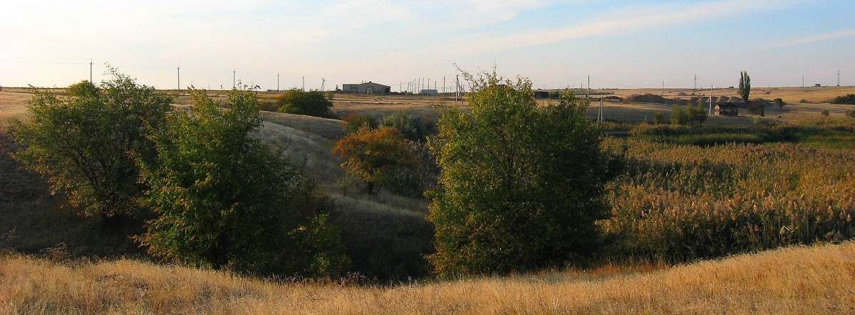 �������� �� ����� ����� Natali  ��������� �� PhotoGeek.ru #������ ��� ������� #����� ��������������