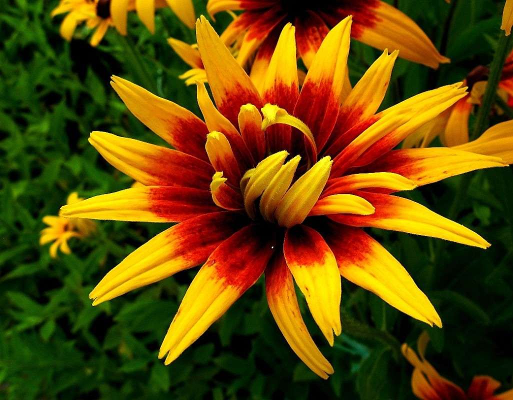 ... ����� Natali  ��������� �� PhotoGeek.ru #������ ��� ������� #����� ��������������