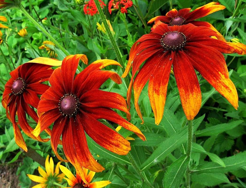 ��������� �������� ) ����� Natali  ��������� �� PhotoGeek.ru #������ ��� ������� #����� ��������������