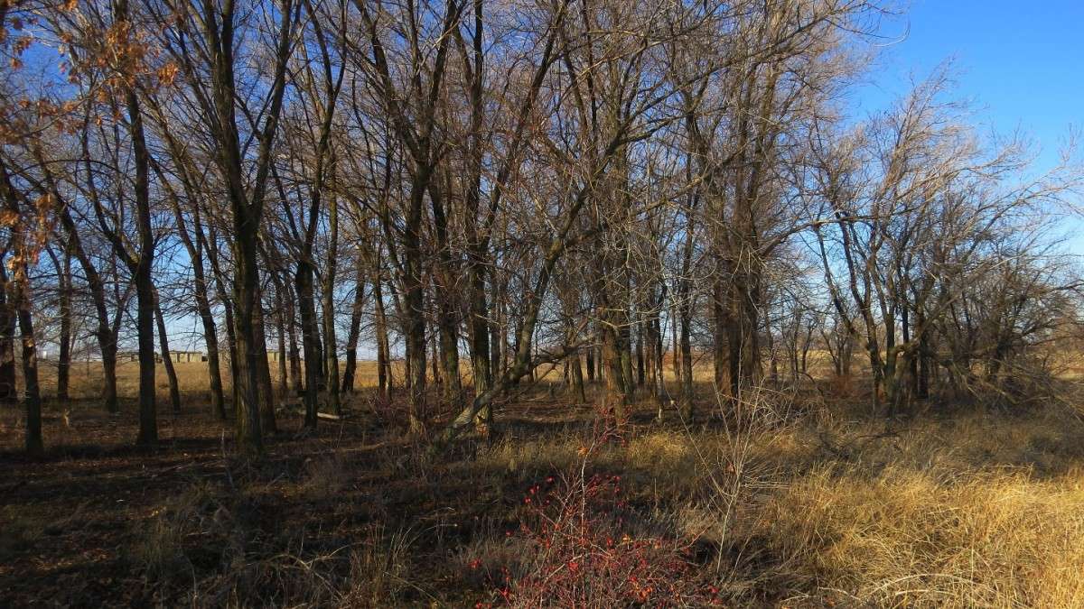 ��������� ������� ������ ����� Natali  ��������� �� PhotoGeek.ru #������ ��� �������