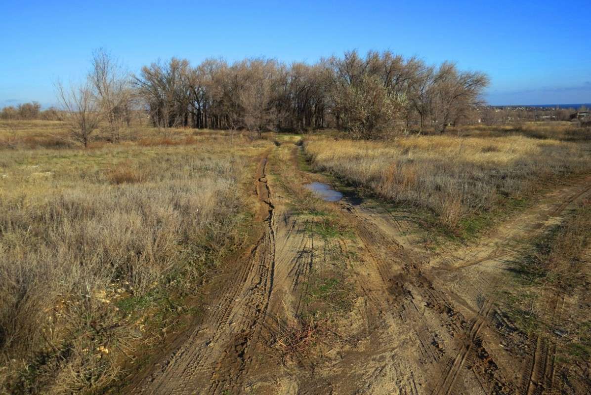 ��������� ������� ������ 2 ����� Natali  ��������� �� PhotoGeek.ru #������ ��� �������