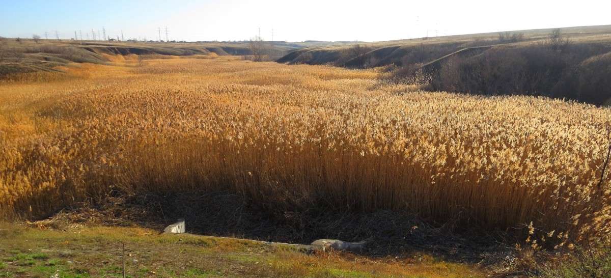 ��������� ������� ������ 3 ����� Natali  ��������� �� PhotoGeek.ru #������ ��� �������