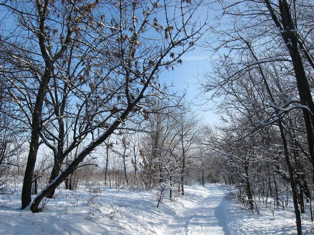 ���� 2014 ����� Natali  ��������� �� PhotoGeek.ru #������ ��� �������