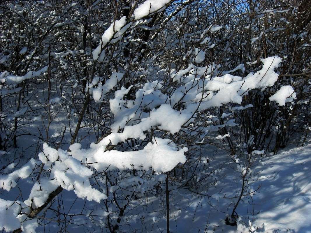 ���� 2014 2 ����� Natali  ��������� �� PhotoGeek.ru #������ ��� �������