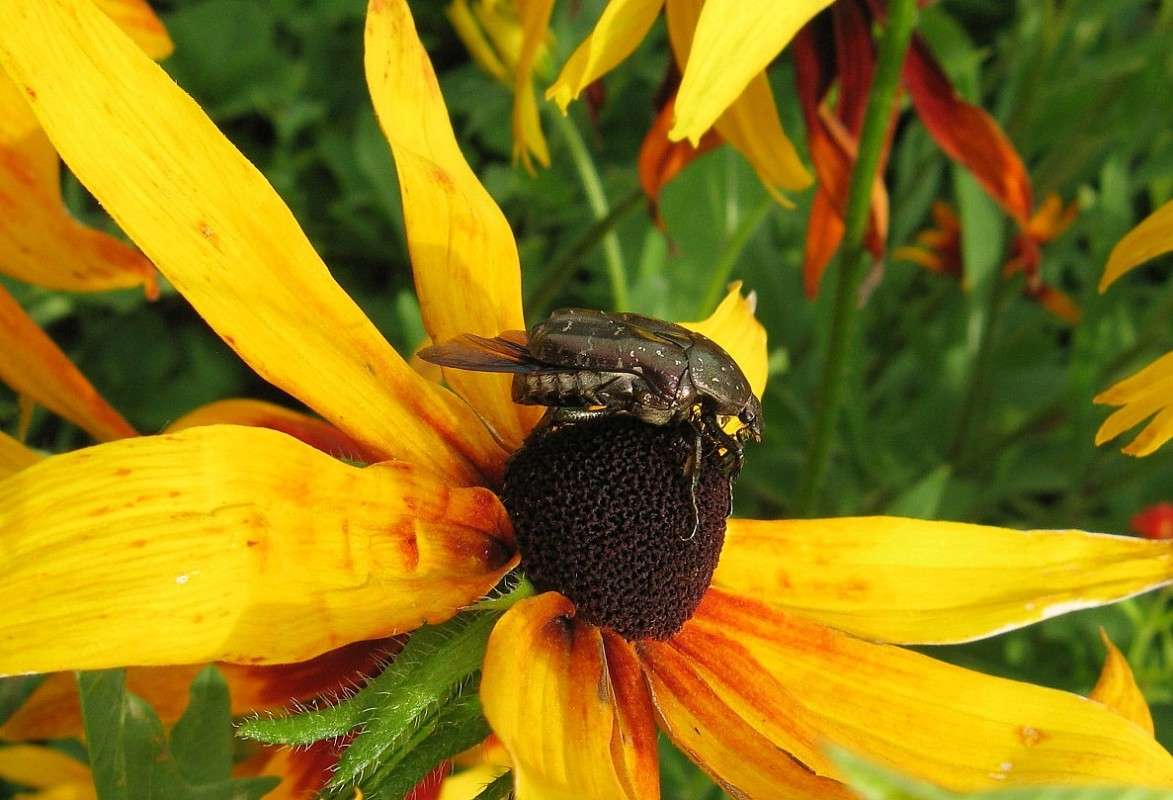 �� ������� 2 ... ) ����� Natali  ��������� �� PhotoGeek.ru #������ ��� ������� #����� ��������������