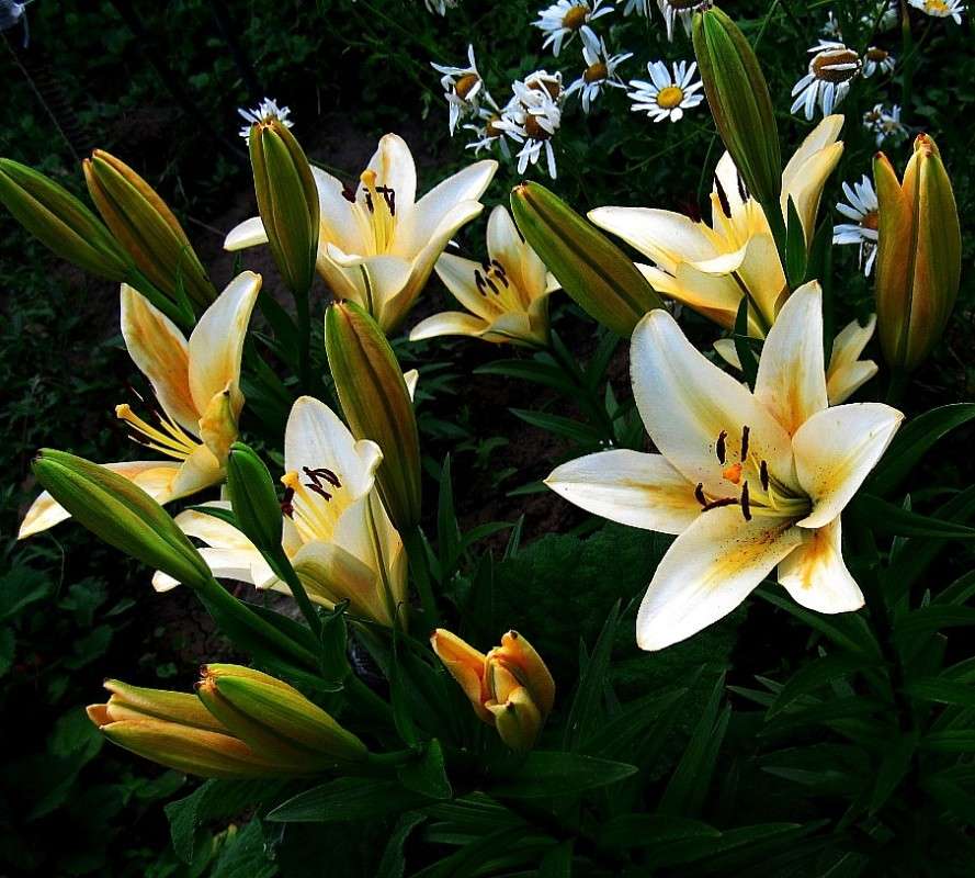 �� ������� ) ����� Natali  ��������� �� PhotoGeek.ru #������ ��� ������� #����� ��������������