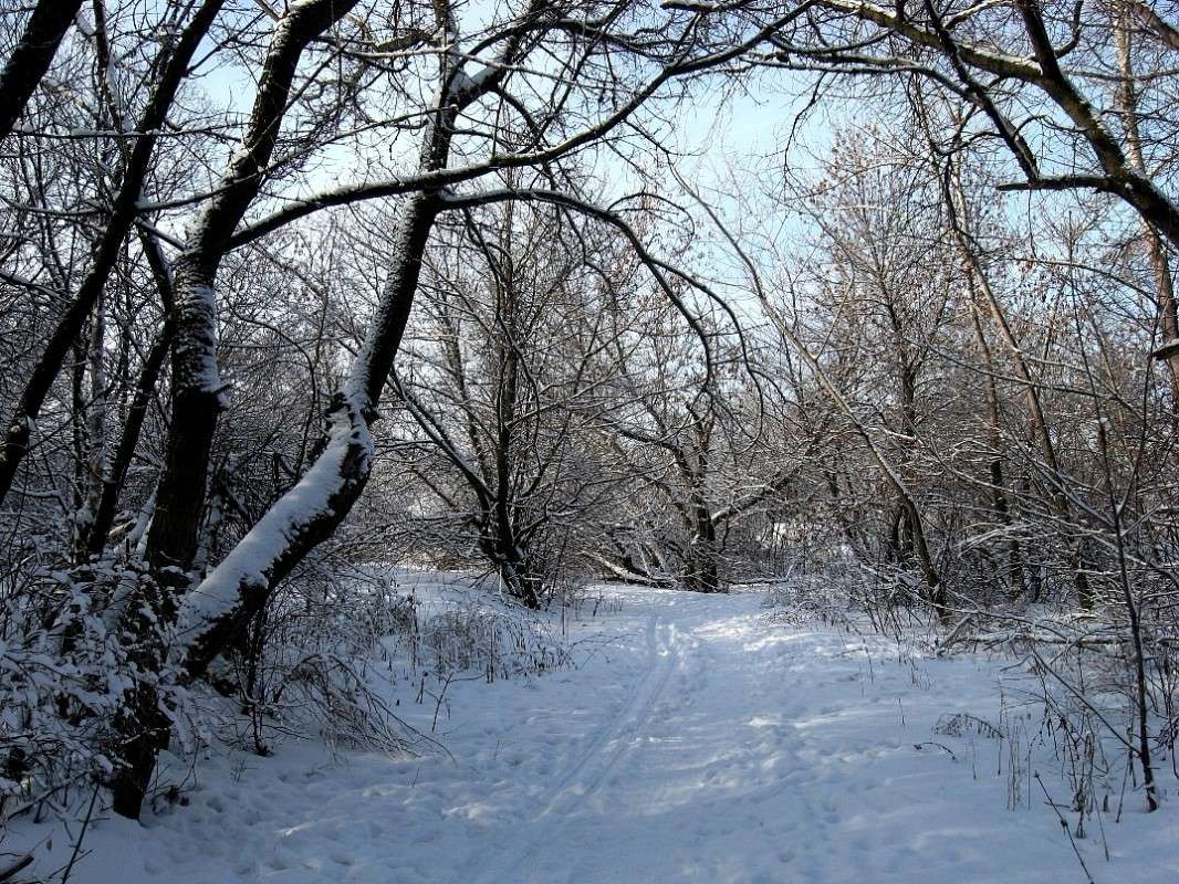 ���� 2014 ... 5 ����� Natali  ��������� �� PhotoGeek.ru #�������� ����������