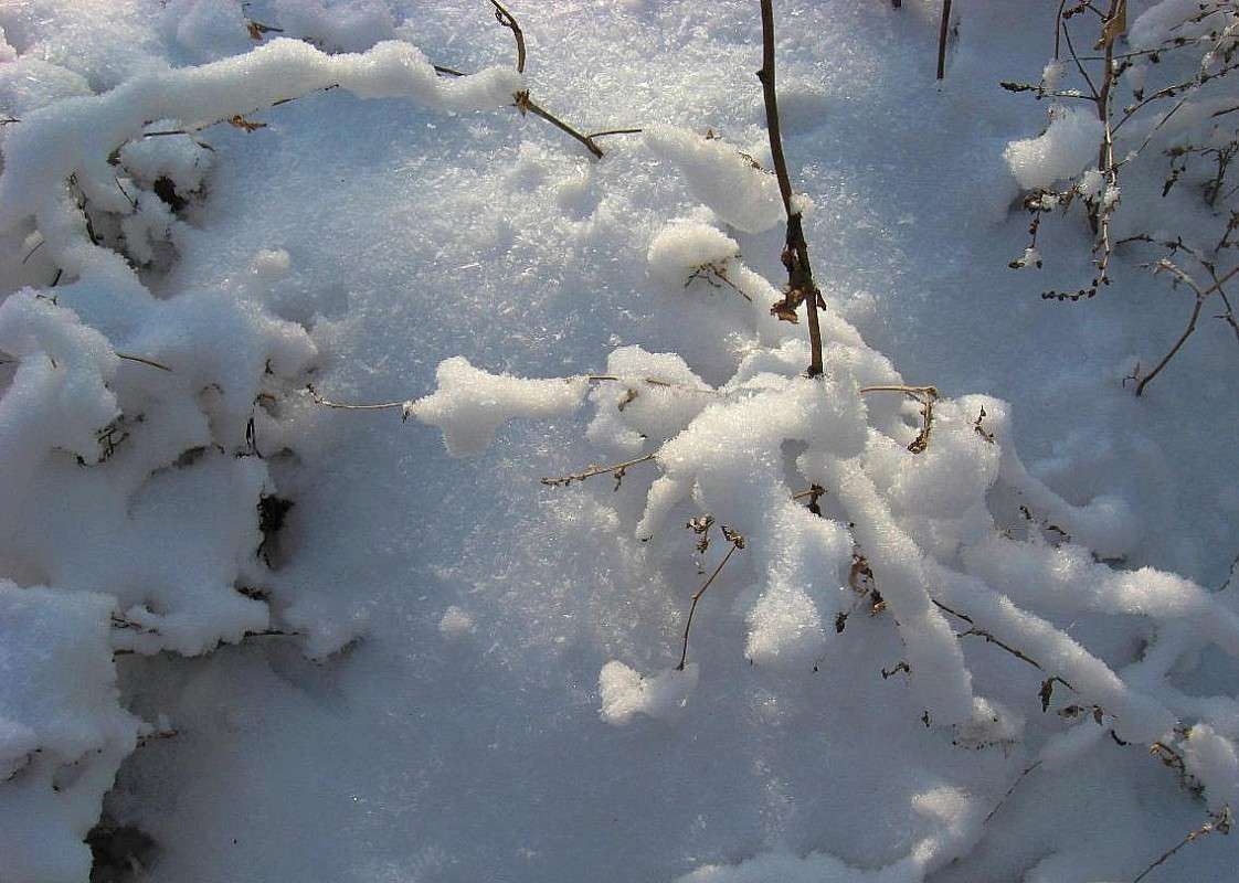 ���� .2014 ...4 ����� Natali  ��������� �� PhotoGeek.ru #������ ��� �������