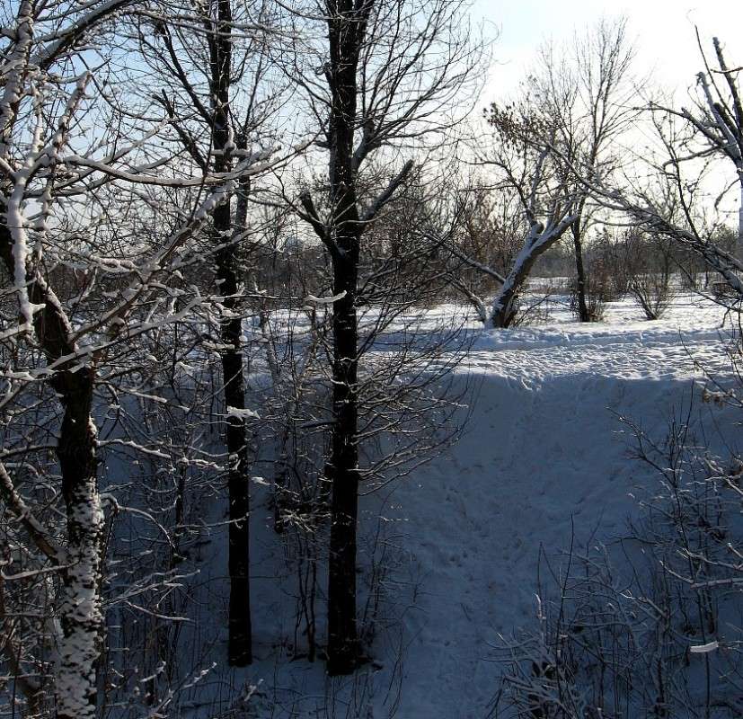 ���� 2014 ... 3 ����� Natali  ��������� �� PhotoGeek.ru #������ ��� �������