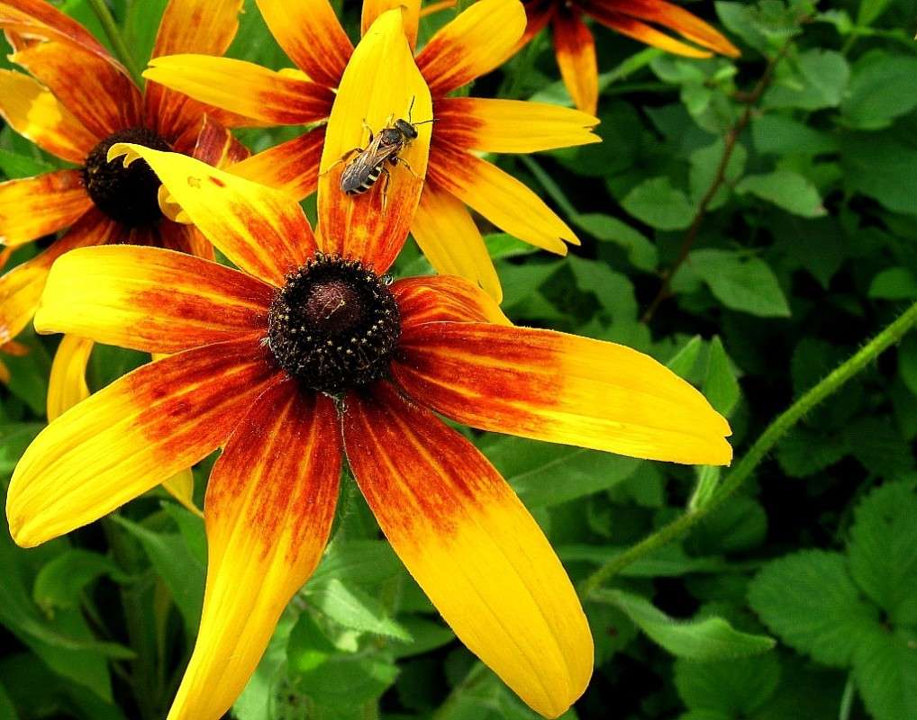 ����� ������� ������ �����, ... �������� ... ))) ����� Natali  ��������� �� PhotoGeek.ru #������ ��� ������� #����� ��������������