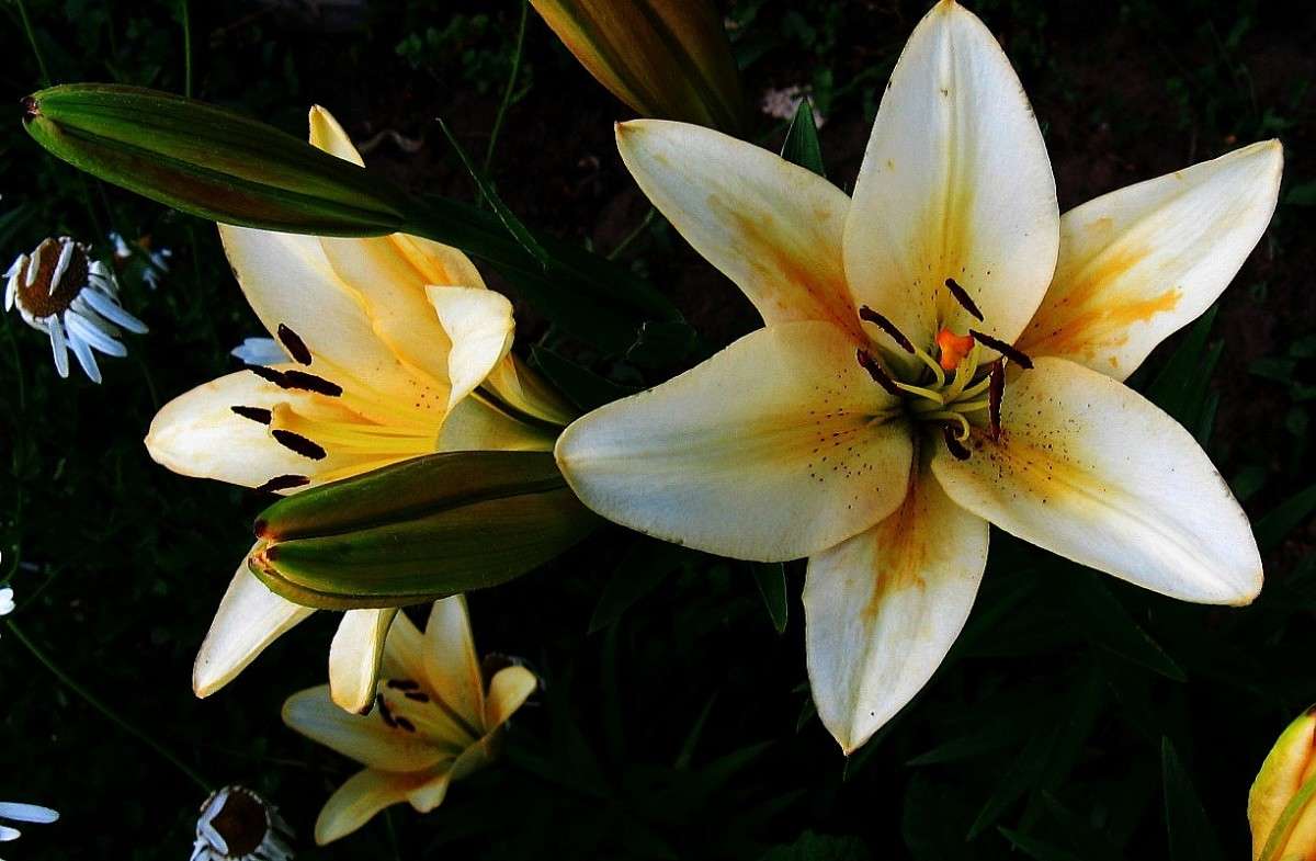 ... ����� Natali  ��������� �� PhotoGeek.ru #������ ��� ������� #����� ��������������