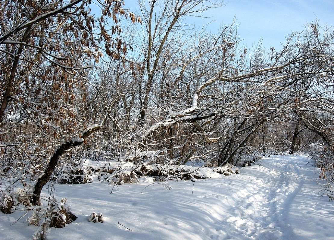 ������ ��������� ����� ����� Natali  ��������� �� PhotoGeek.ru #������ ��� �������