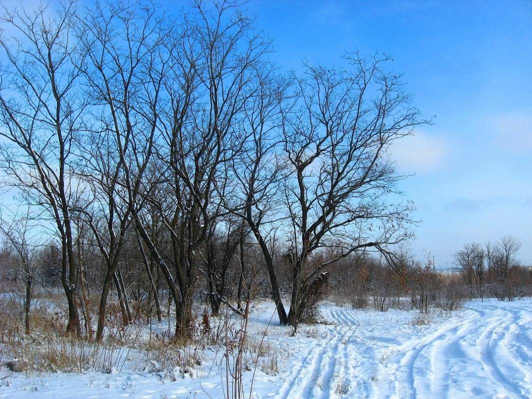 � ���� ����� ) ����� Natali  ��������� �� PhotoGeek.ru #������ ��� �������