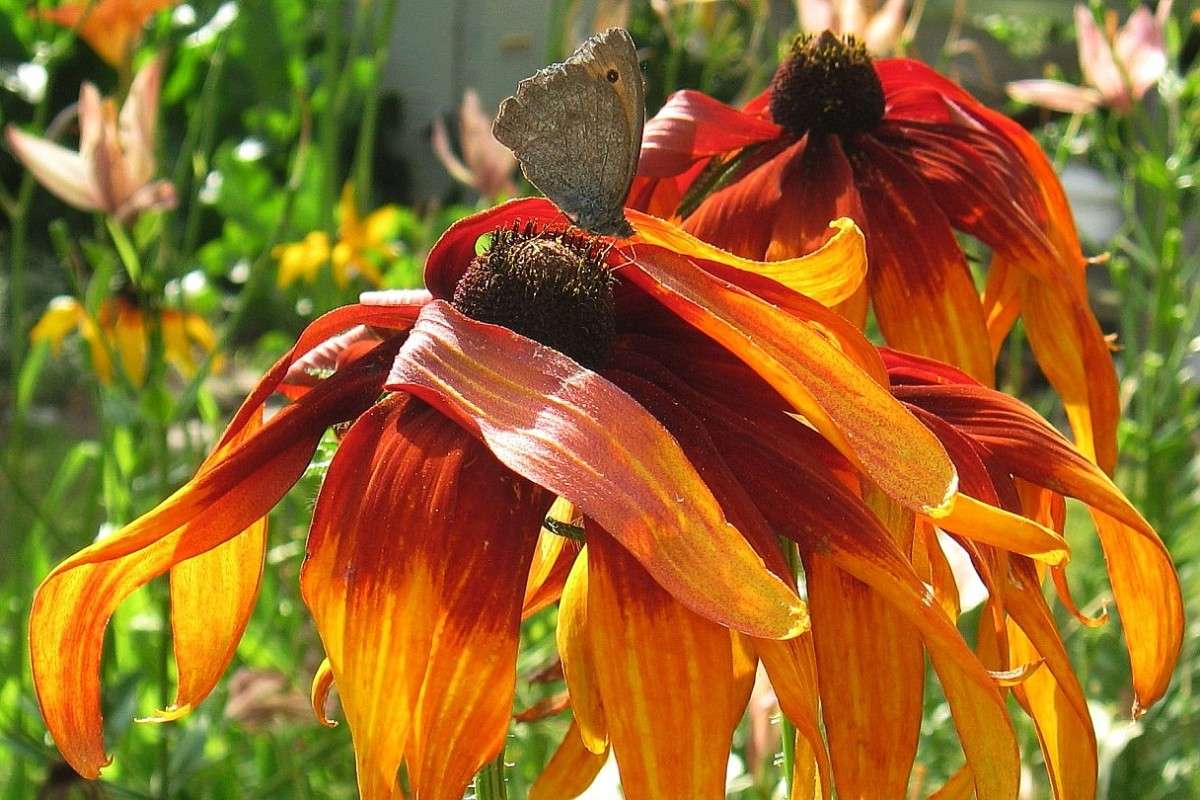 ������ ���� ����� Natali  ��������� �� PhotoGeek.ru #������ ��� ������� #����� ��������������