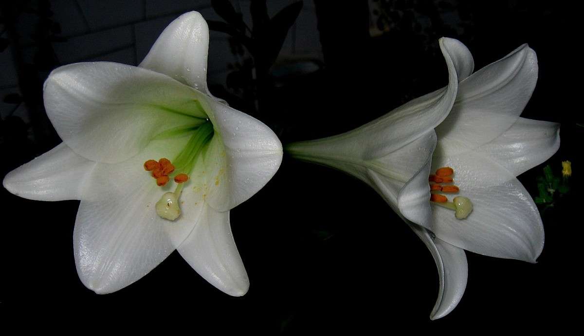 ������ ���� ))) ����� Natali  ��������� �� PhotoGeek.ru #������ ��� ������� #����� ��������������