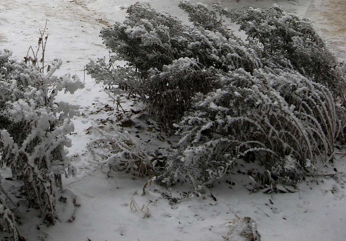 ��������� ���� ����� Natali  ��������� �� PhotoGeek.ru #������ ��� ������� #����� ��������������