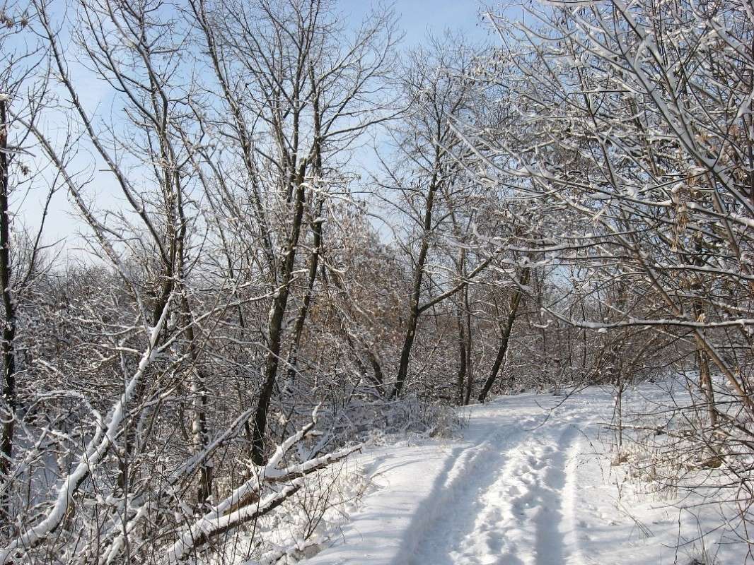 ��������� ����� ����� Natali  ��������� �� PhotoGeek.ru #������ ��� �������