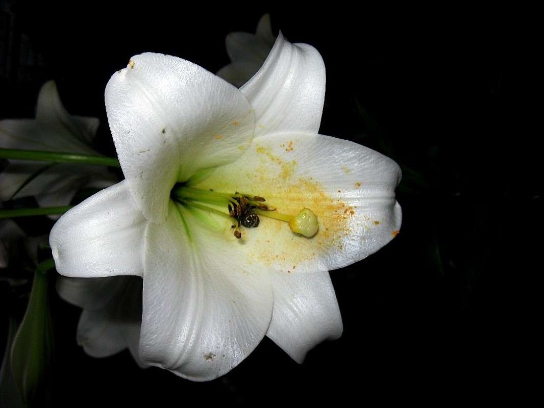 ��� �� ������ ?! ... ) ����� Natali  ��������� �� PhotoGeek.ru #������ ��� ������� #����� ��������������