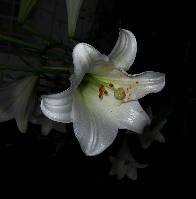 ������ ���� 2 ����� Natali  ��������� �� PhotoGeek.ru #������ ��� ������� #����� ��������������