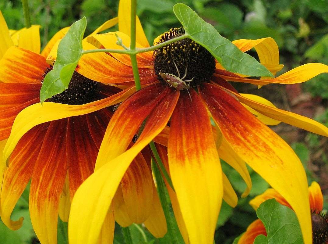 ��� ��������� ... ) ����� Natali  ��������� �� PhotoGeek.ru #������ ��� ������� #����� ��������������