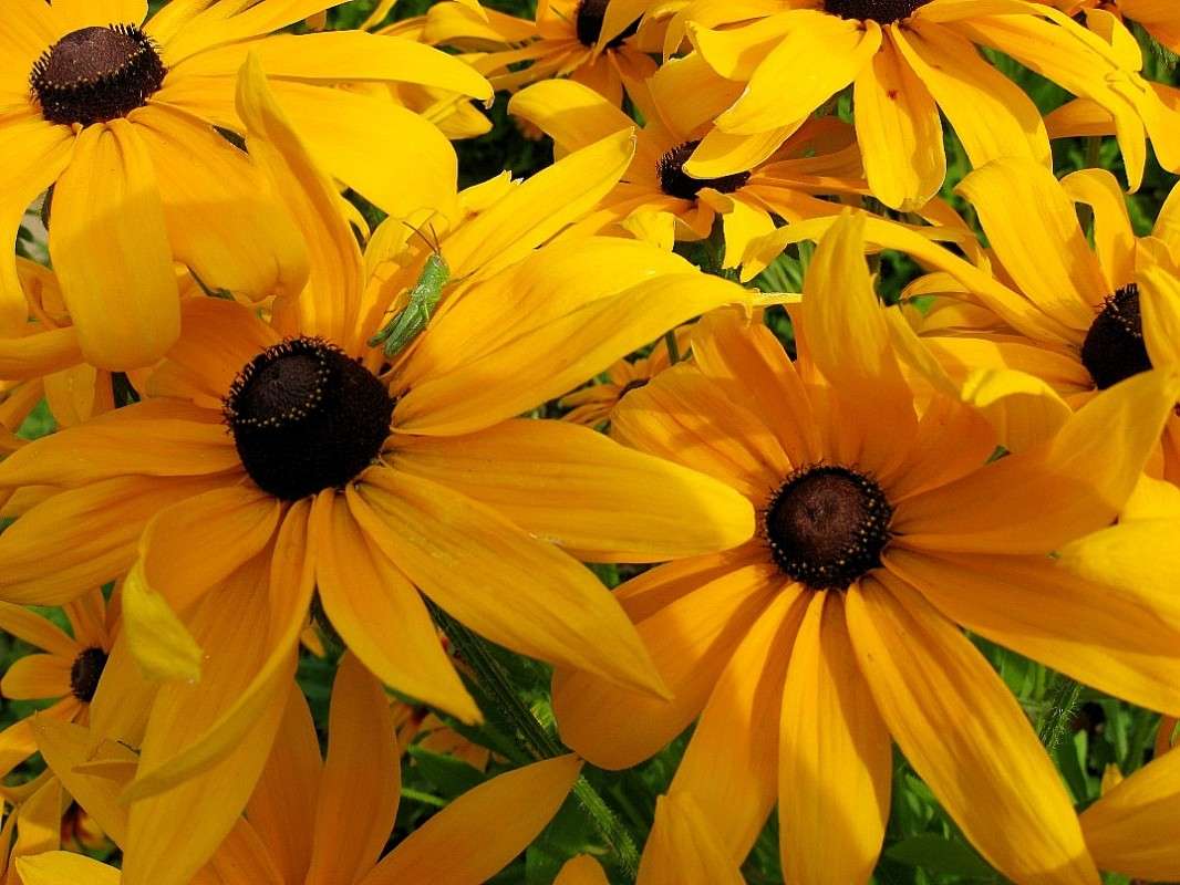 ������ ��� �������� ..... ) ����� Natali  ��������� �� PhotoGeek.ru #������ ��� ������� #����� ��������������