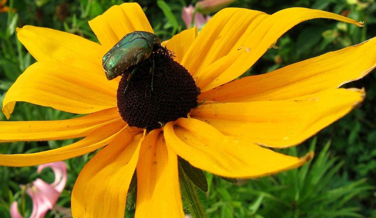 ������������� ....  ) ����� Natali  ��������� �� PhotoGeek.ru #������ ��� ������� #����� ��������������