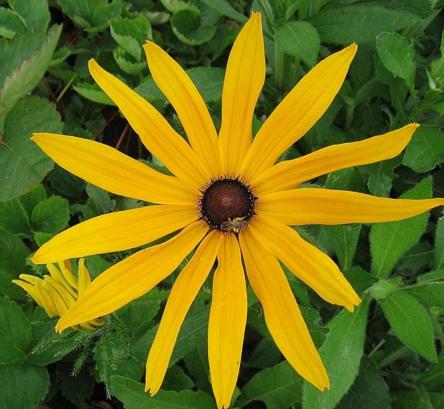 ... ����� Natali  ��������� �� PhotoGeek.ru #������ ��� ������� #����� ��������������