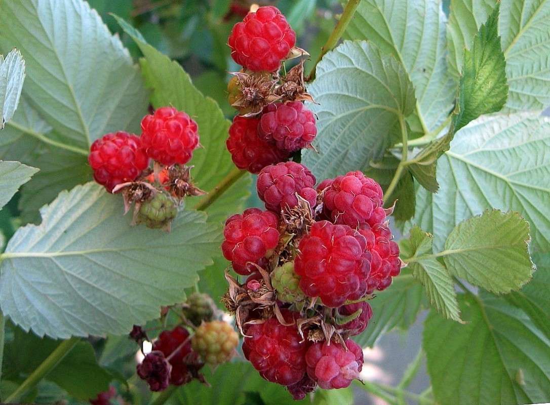 ... ����� Natali  ��������� �� PhotoGeek.ru #������ ��� ������� #����� ��������������