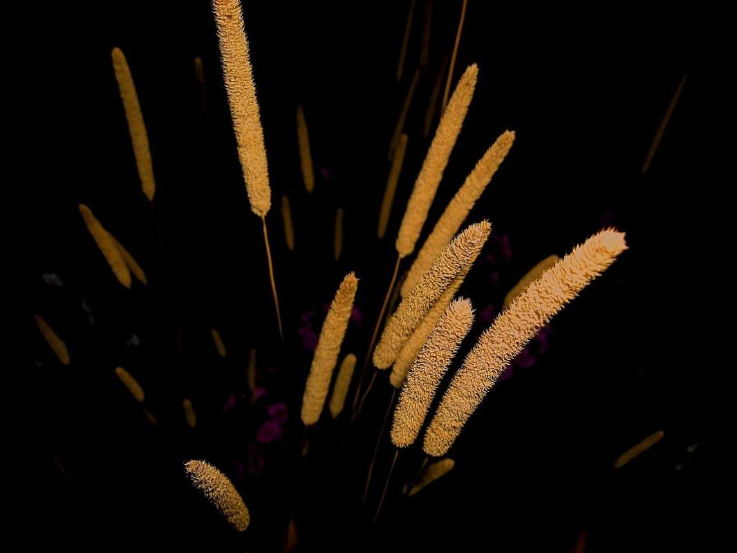 ... ����� Natali  ��������� �� PhotoGeek.ru #������ ��� ������� #����� ��������������