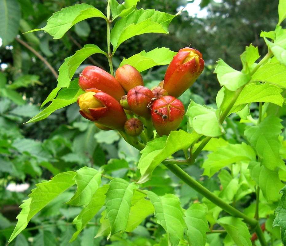 ... ����� Natali  ��������� �� PhotoGeek.ru #������ ��� ������� #����� ��������������