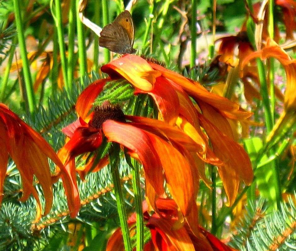 ... ����� Natali  ��������� �� PhotoGeek.ru #������ ��� ������� #����� ��������������