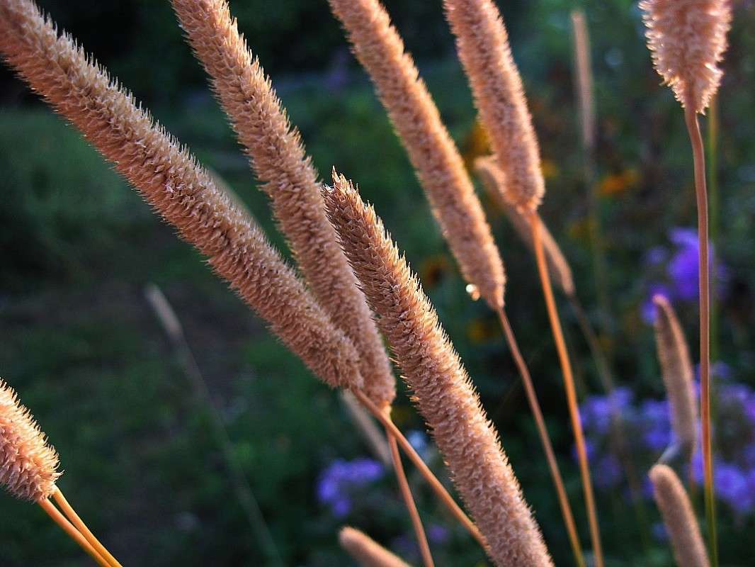 ... ����� Natali  ��������� �� PhotoGeek.ru #������ ��� ������� #����� ��������������