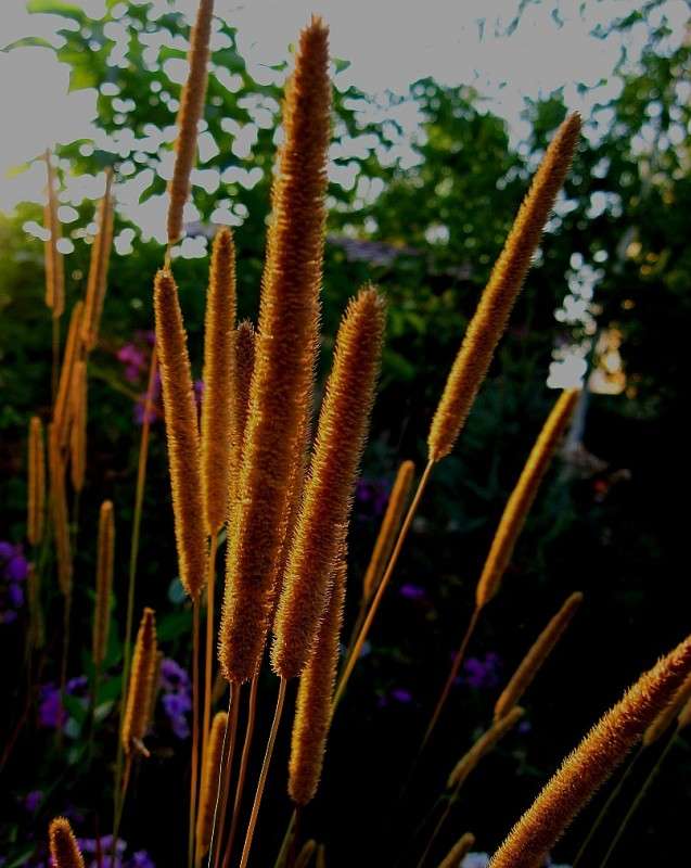 ... ����� Natali  ��������� �� PhotoGeek.ru #������ ��� ������� #����� ��������������