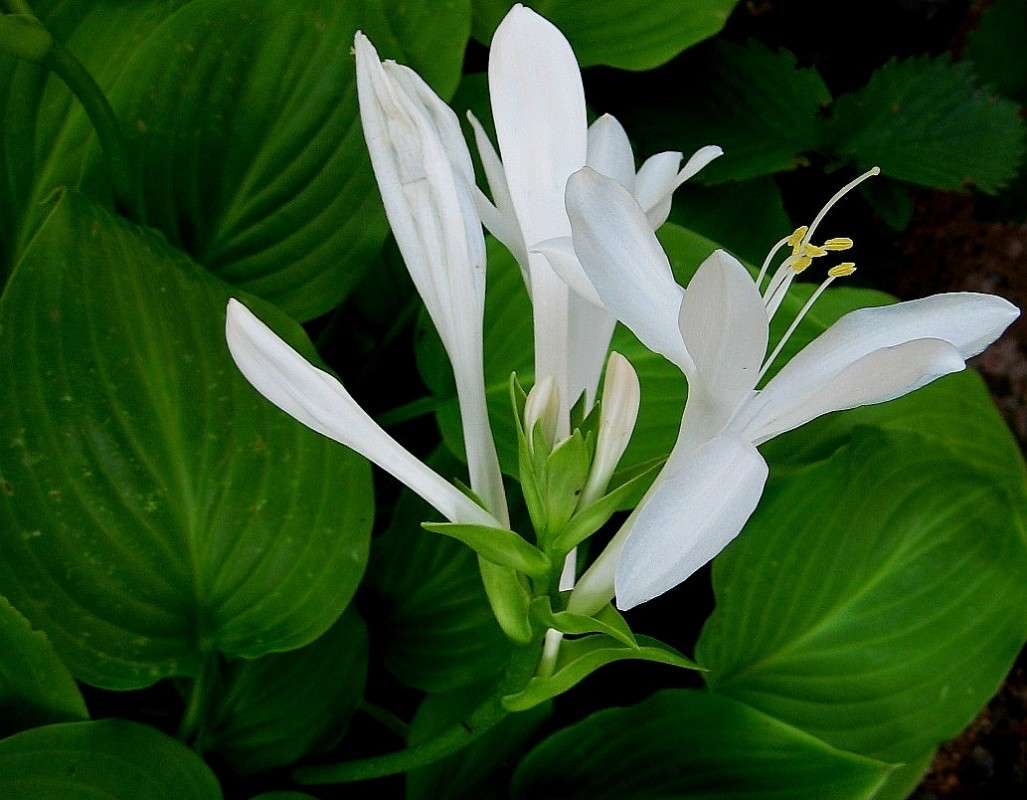 ... ����� Natali  ��������� �� PhotoGeek.ru #������ ��� ������� #����� ��������������