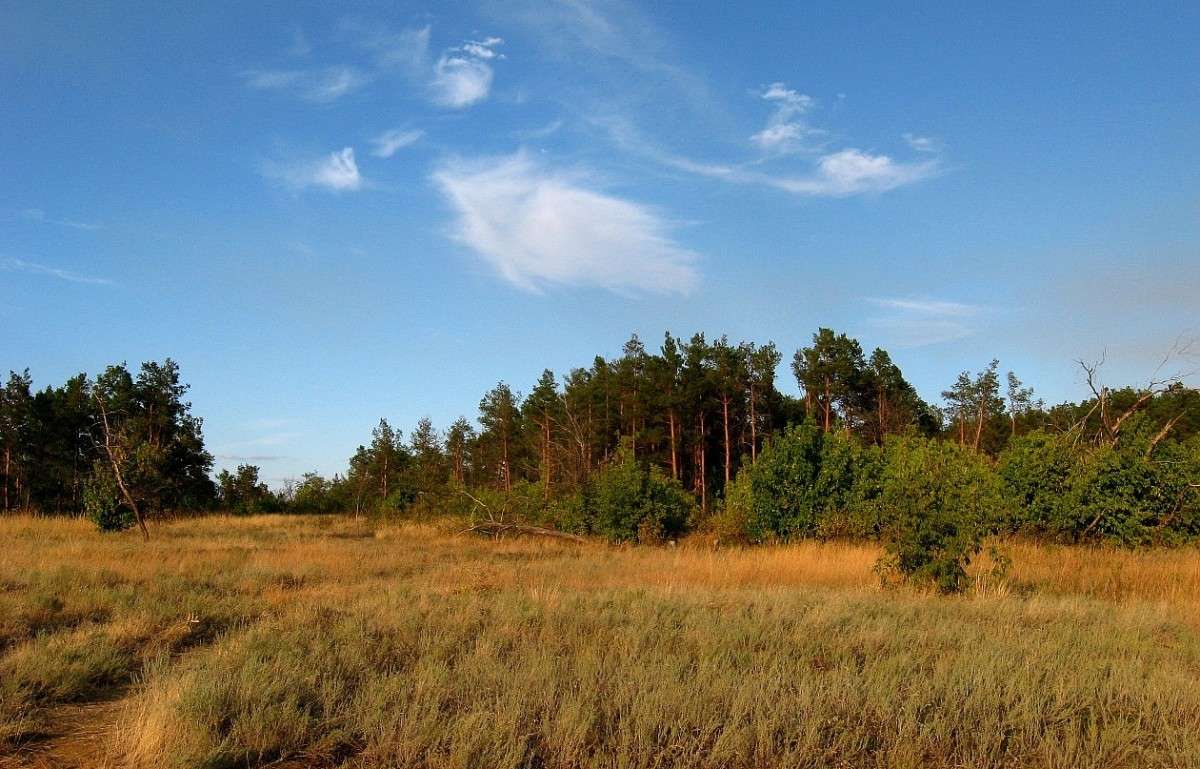 ������ ����� Natali  ��������� �� PhotoGeek.ru #������ ��� ������� #����� ��������������