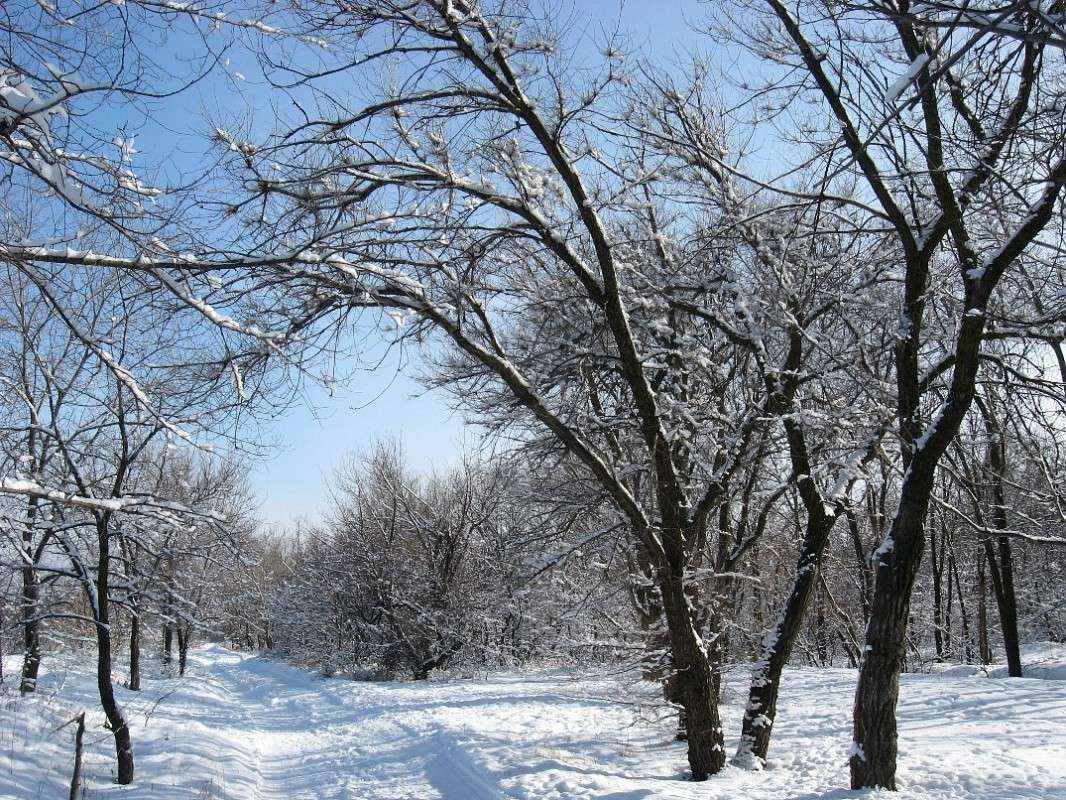 ... ����� Natali  ��������� �� PhotoGeek.ru #������ ��� ������� #����� ��������������