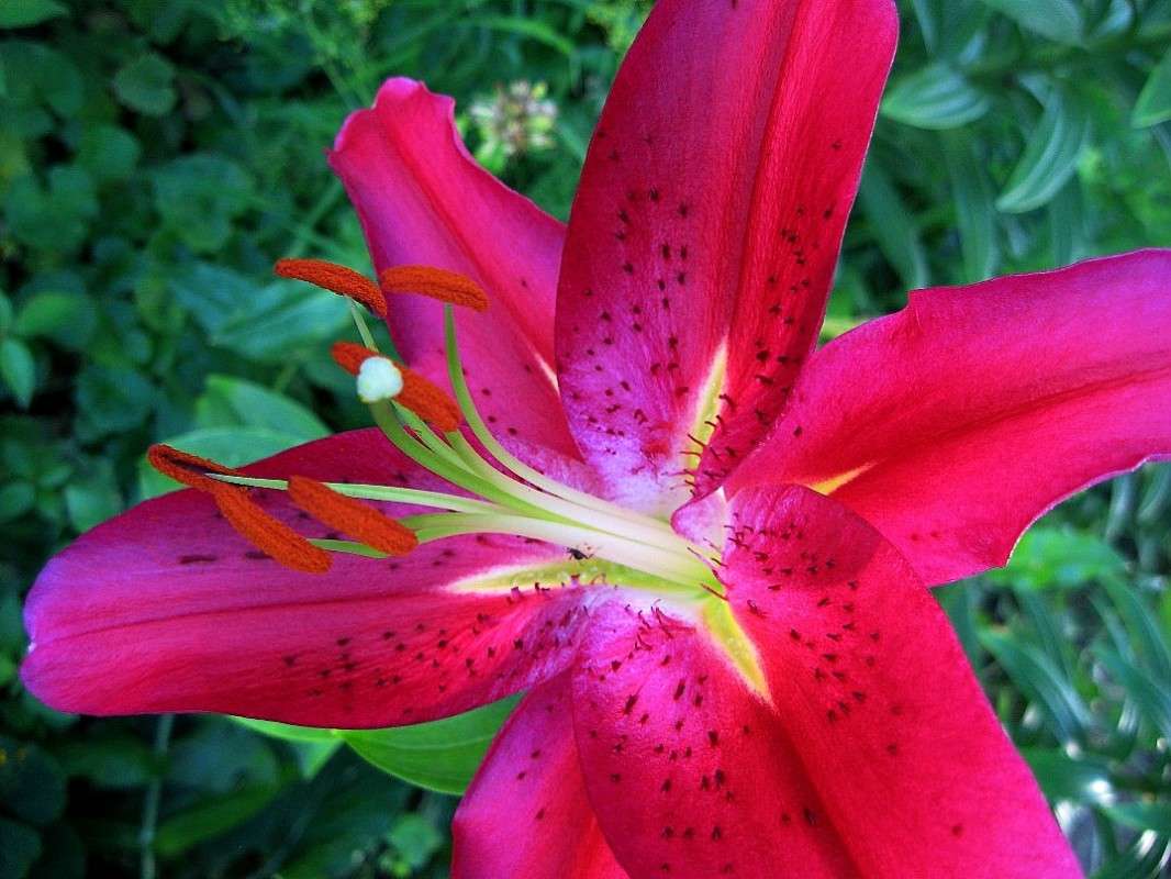 ... ����� Natali  ��������� �� PhotoGeek.ru #����� ��������������