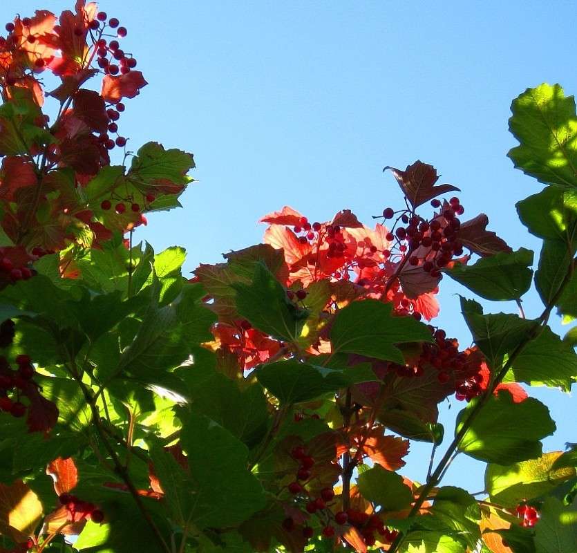 �������� ������� ....  )))) ����� Natali  ��������� �� PhotoGeek.ru #������ ��� ������� #����� ��������������