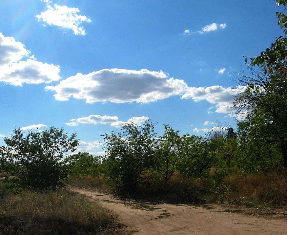 �������� ������� ... ))) ����� Natali  ��������� �� PhotoGeek.ru #������ ��� ������� #����� ��������������