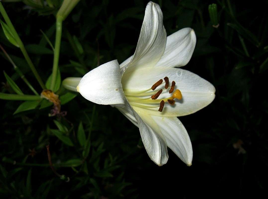 ... ����� Natali  ��������� �� PhotoGeek.ru #����� ��������������