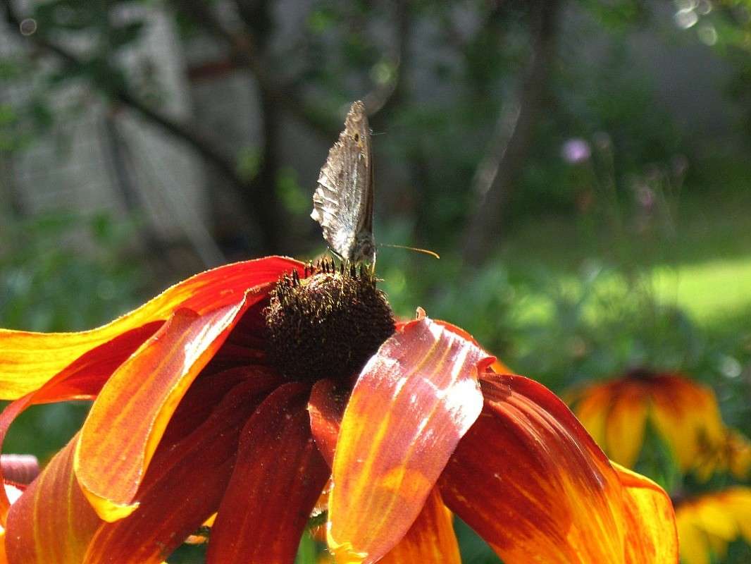 ... ����� Natali  ��������� �� PhotoGeek.ru #�������� ��� #����� ��������������