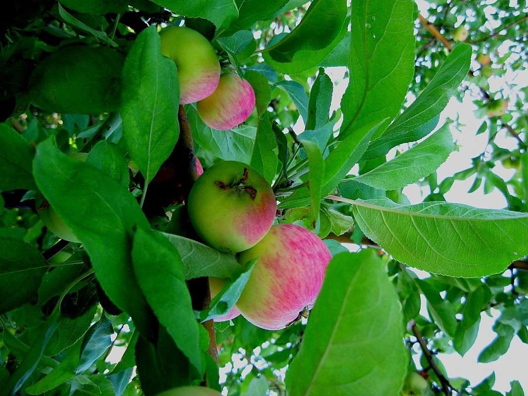 ... ����� Natali  ��������� �� PhotoGeek.ru #����� ��������������