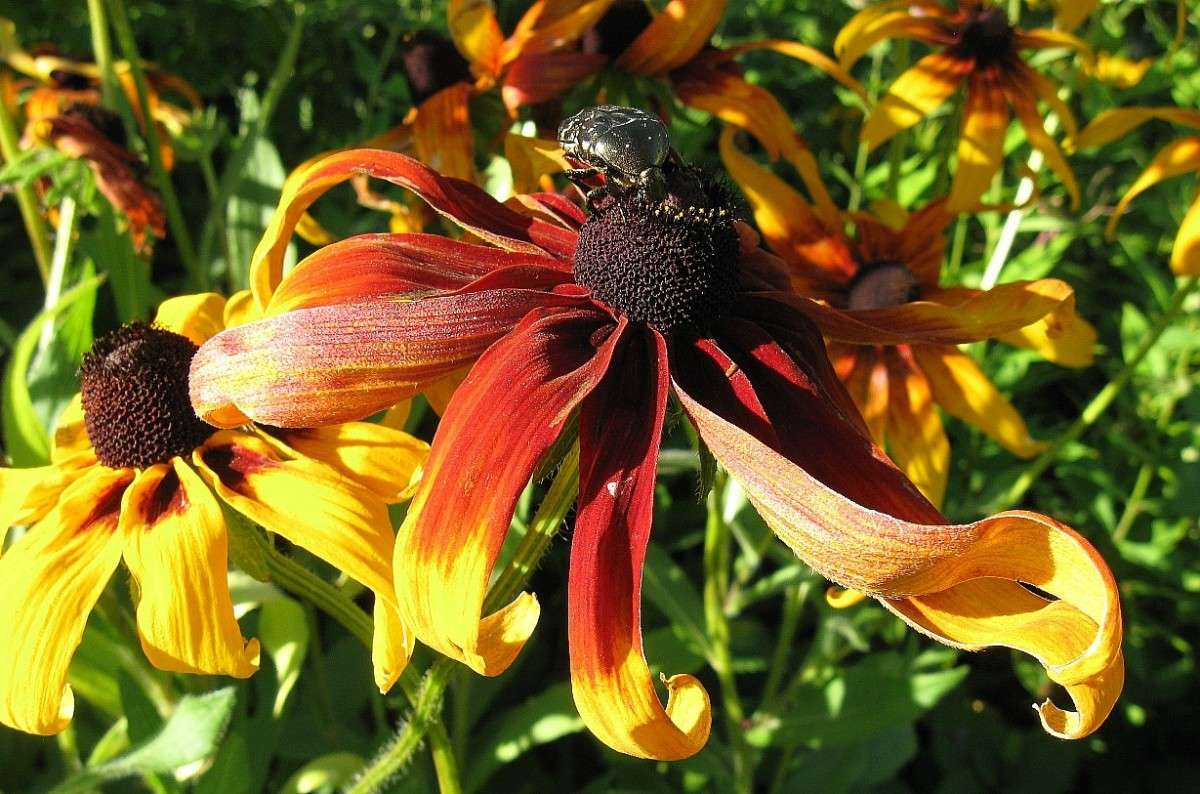 ��� ���� � �������� ������� ))) ����� Natali  ��������� �� PhotoGeek.ru #�������� ��� #����� ��������������