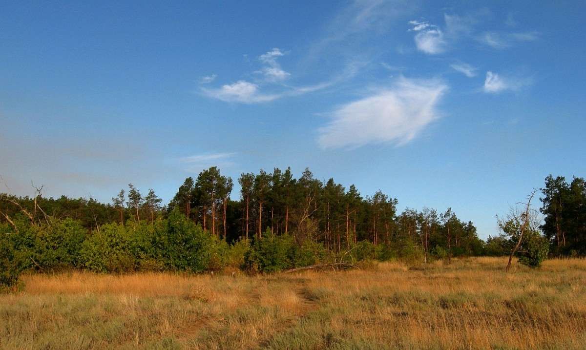 ������ 2 ����� Natali  ��������� �� PhotoGeek.ru #������ ��� �������