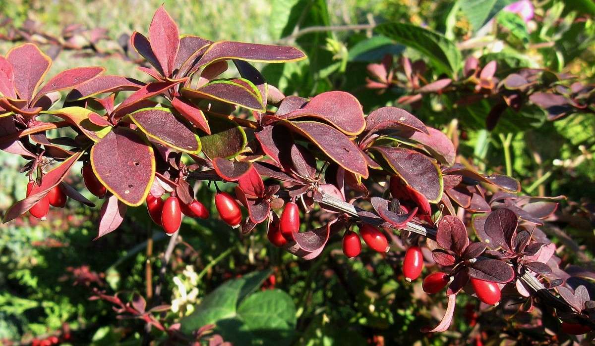 ������ �������� 3 ����� Natali  ��������� �� PhotoGeek.ru #����� ��������������