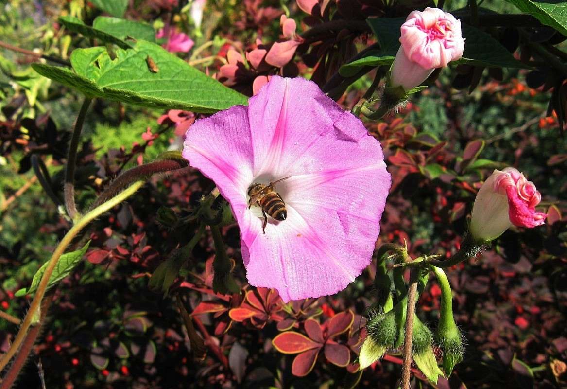 ������ �������� 2 ����� Natali  ��������� �� PhotoGeek.ru #����� ��������������