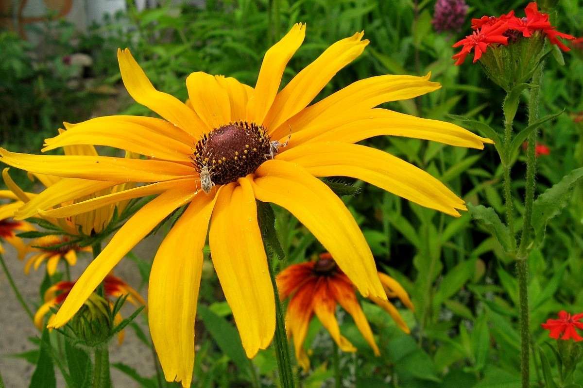 � ������� � � ��� ���� .... ) ����� Natali  ��������� �� PhotoGeek.ru #����� ��������������