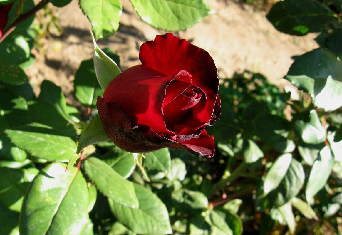 ������ �������� 5 ����� Natali  ��������� �� PhotoGeek.ru #����� ��������������