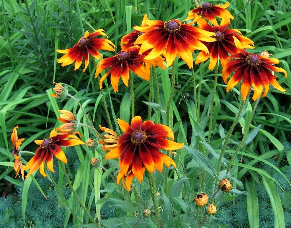 ������ �������� 4 ����� Natali  ��������� �� PhotoGeek.ru #������ ��� ������� #����� ��������������